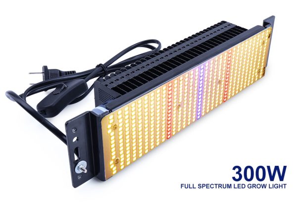 300W led light