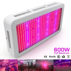 600W led light