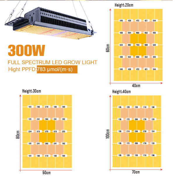 300w led light